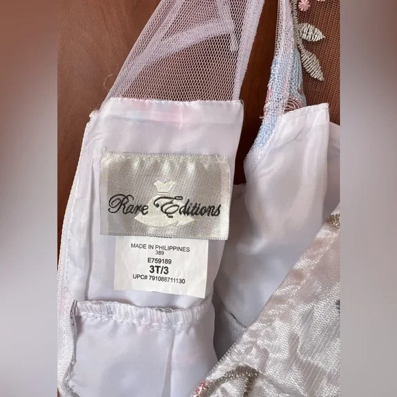Rare Editions - Floral sheer dress (Size 3T)